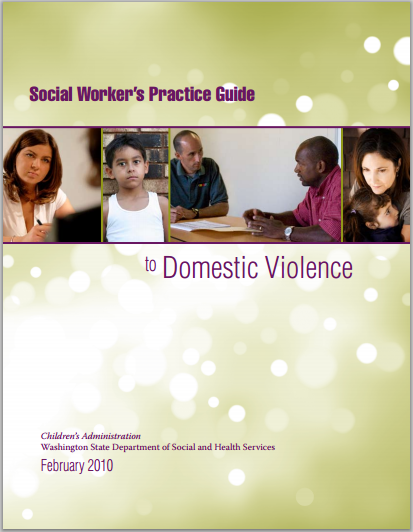 Social Worker’s Practice Guide to Domestic Violence