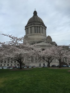 Photo of the state capitol building in Olympia, WA