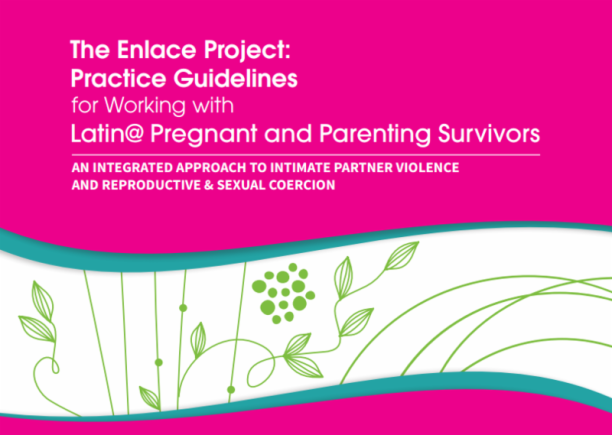 Practice Guidelines for Working With Latin@ Pregnant and Parenting Survivors