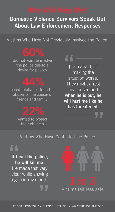 Law Enforcement Infographic