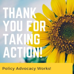 image of a sunflower with the text "Thank you for taking action! Policy advocacy works!"
