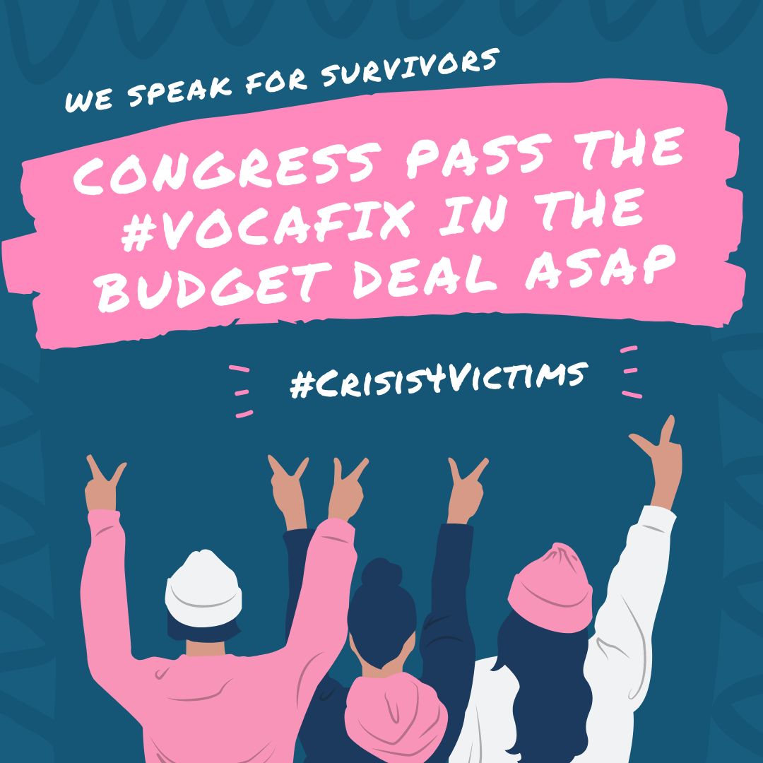 Urgent Action: Tell Congress to Save Critical Services for Survivors
