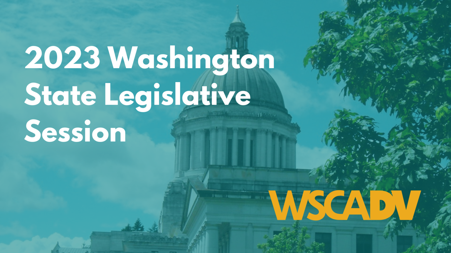 Washington State Coalition Against Domestic Violence (WSCADV)