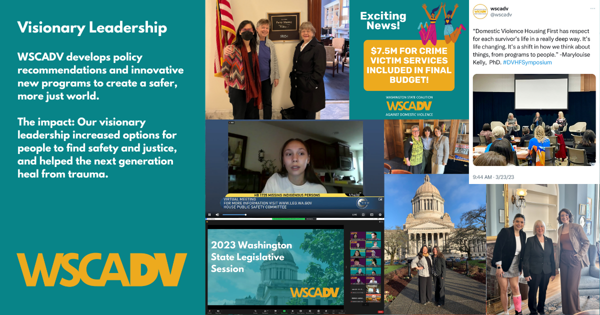 A photo collage including WSCADV staff at the capitol building, in Washington DC, and providing legislative testimony. Image text provided below.