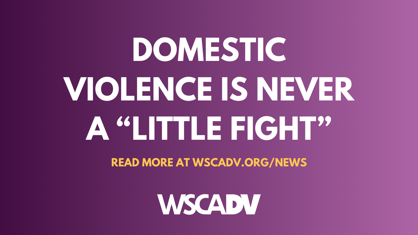 Domestic Violence is Never a “Little Fight”